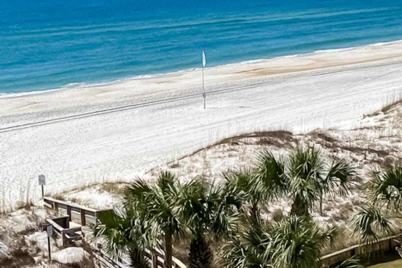 Palm Beach C52 Orange Beach Dış mekan fotoğraf